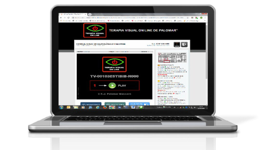 Terapia visual ON LINE de Palomar