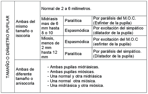 Tabla pupilar.