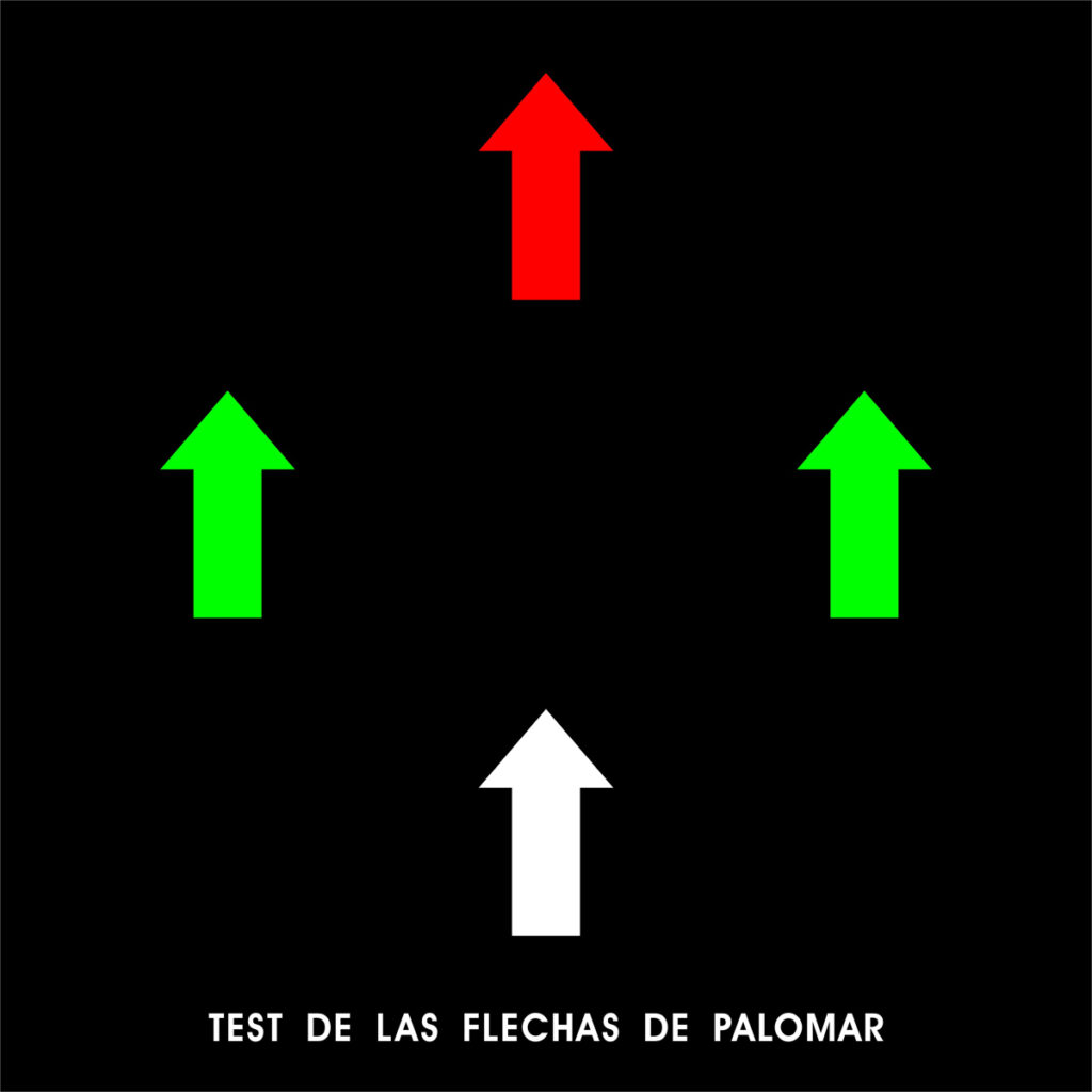 Test de las flechas de Palomar.